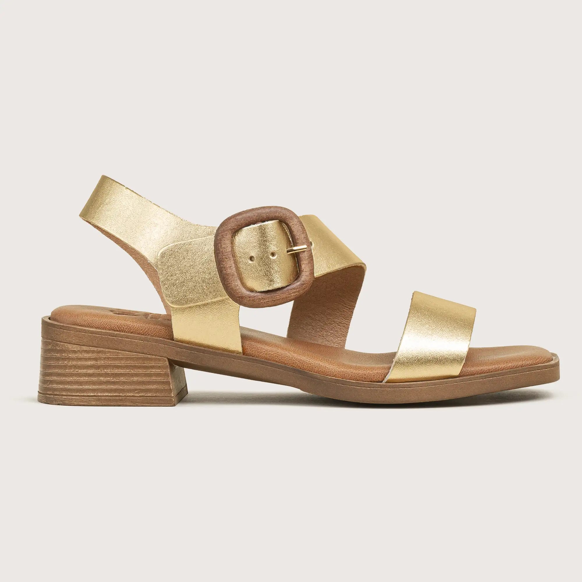 Cass-Gld-2.webp