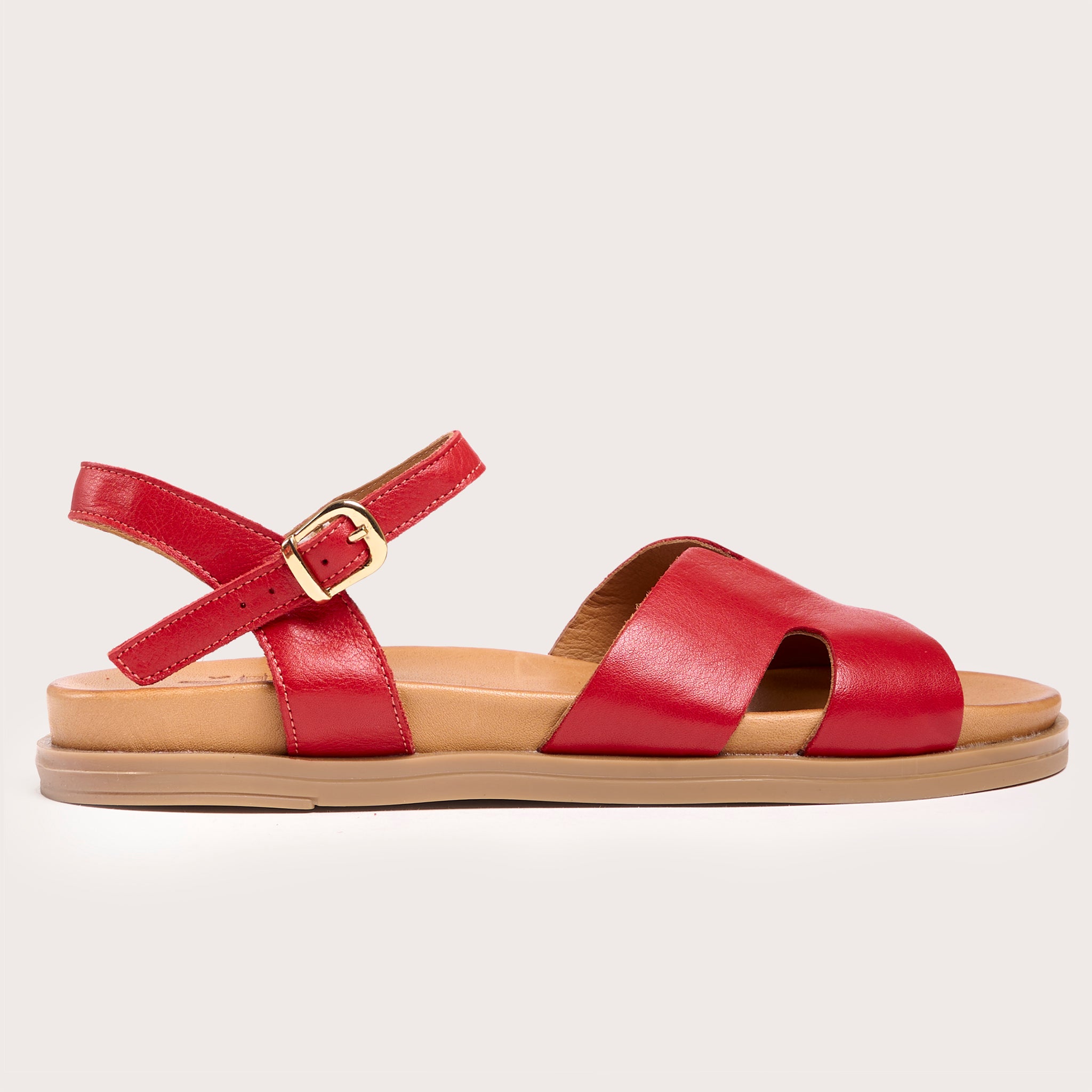 Evergreen - Red Evergreen - Red