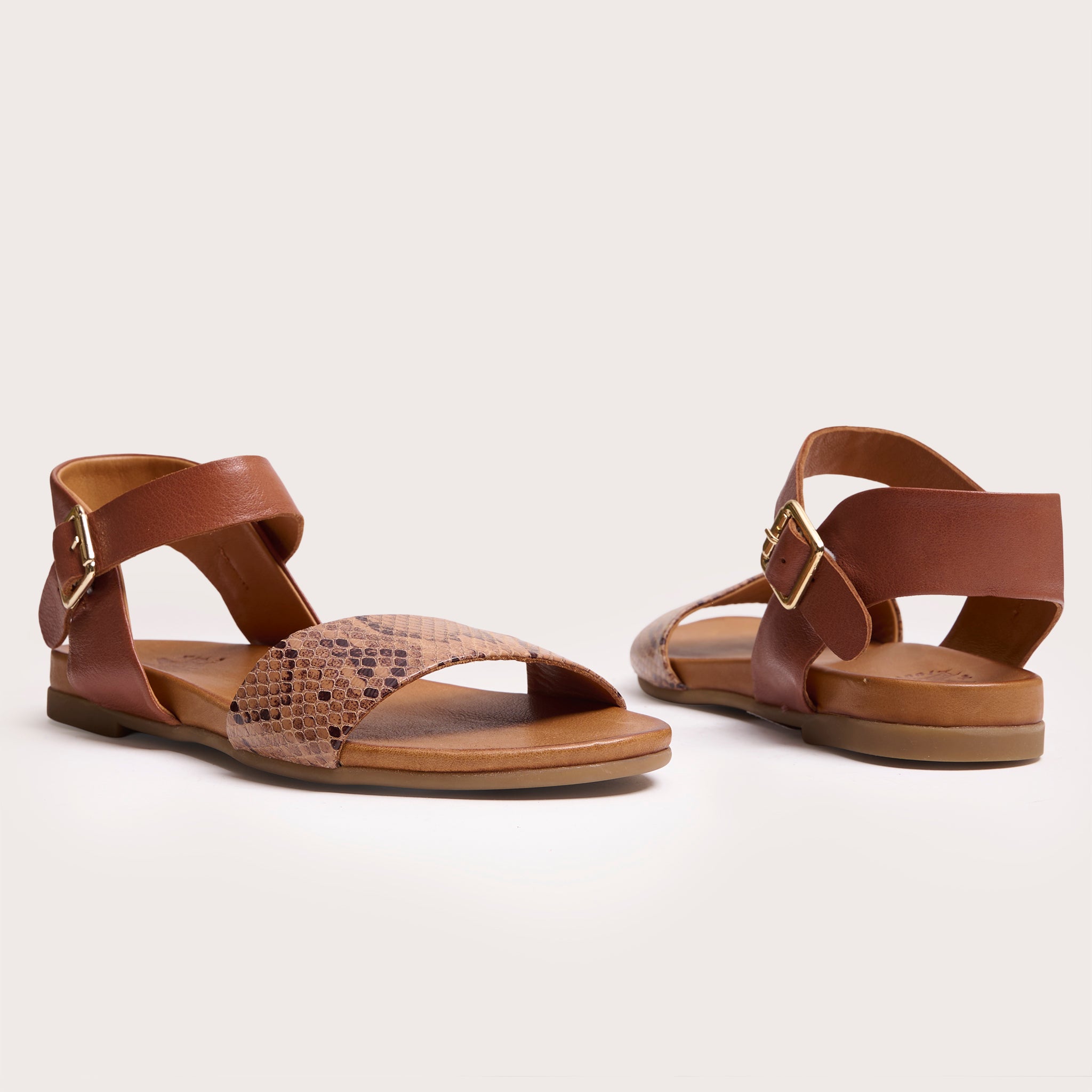 Rockaway - Brown Snake Print