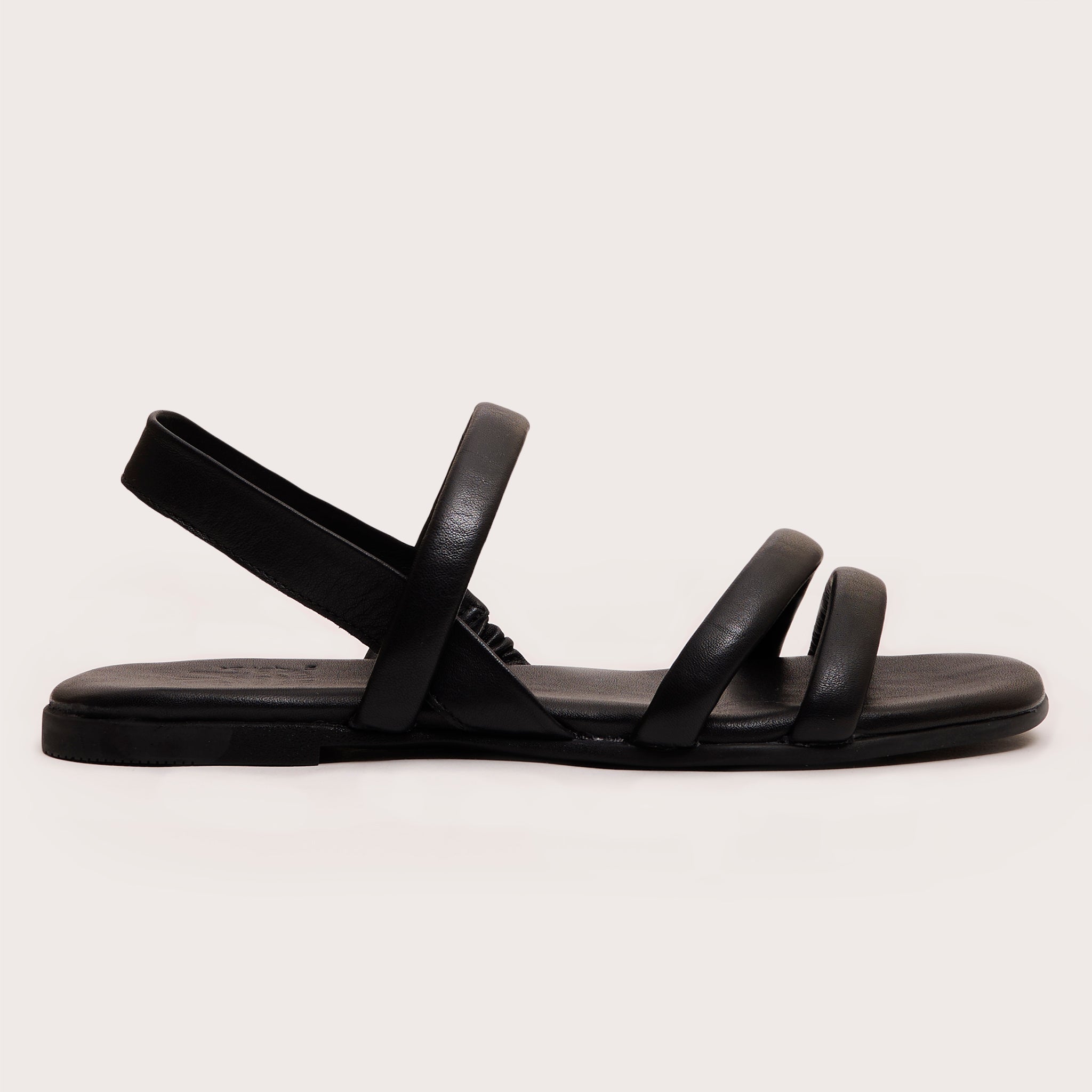 Webb - Black