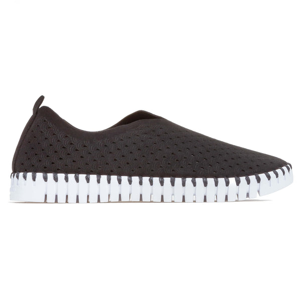 Tulip 139 - Black
