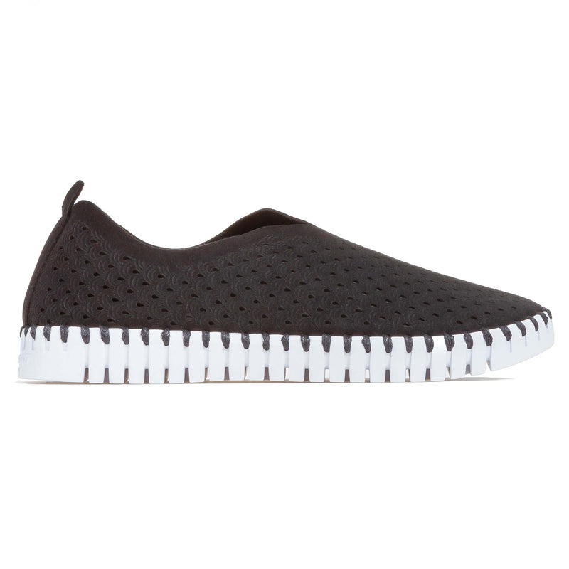 Tulip 139 - Black