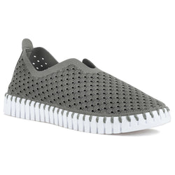 Tulip 139 - Grey