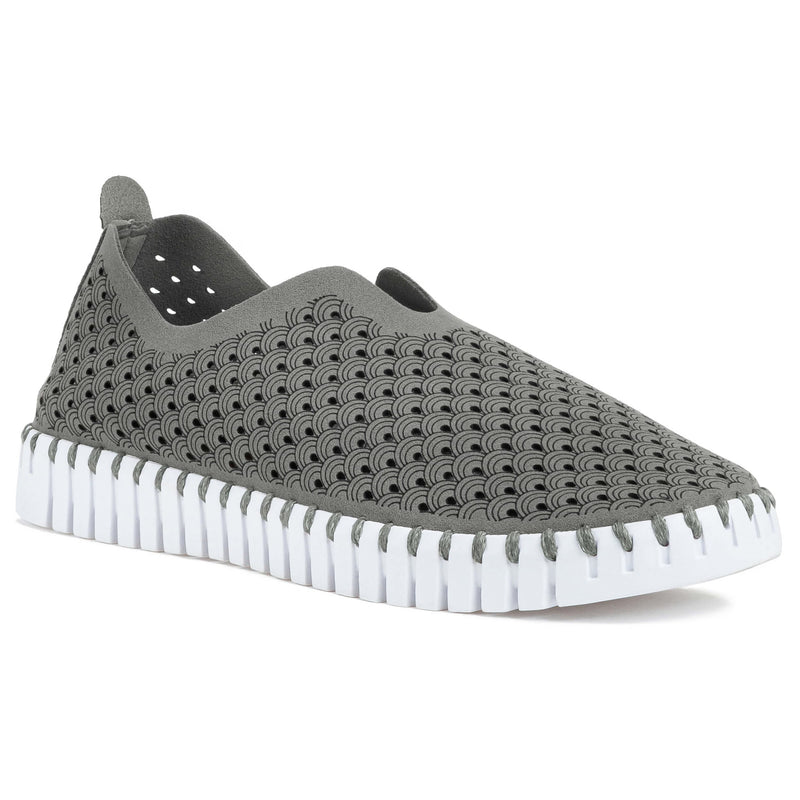Tulip 139 - Grey