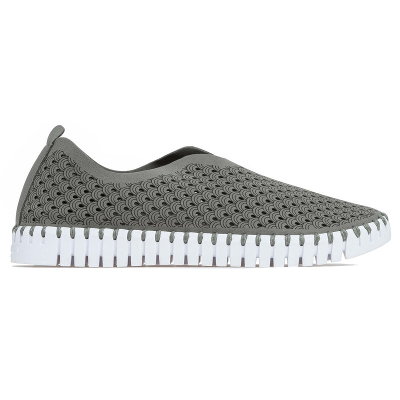 Tulip 139 - Grey