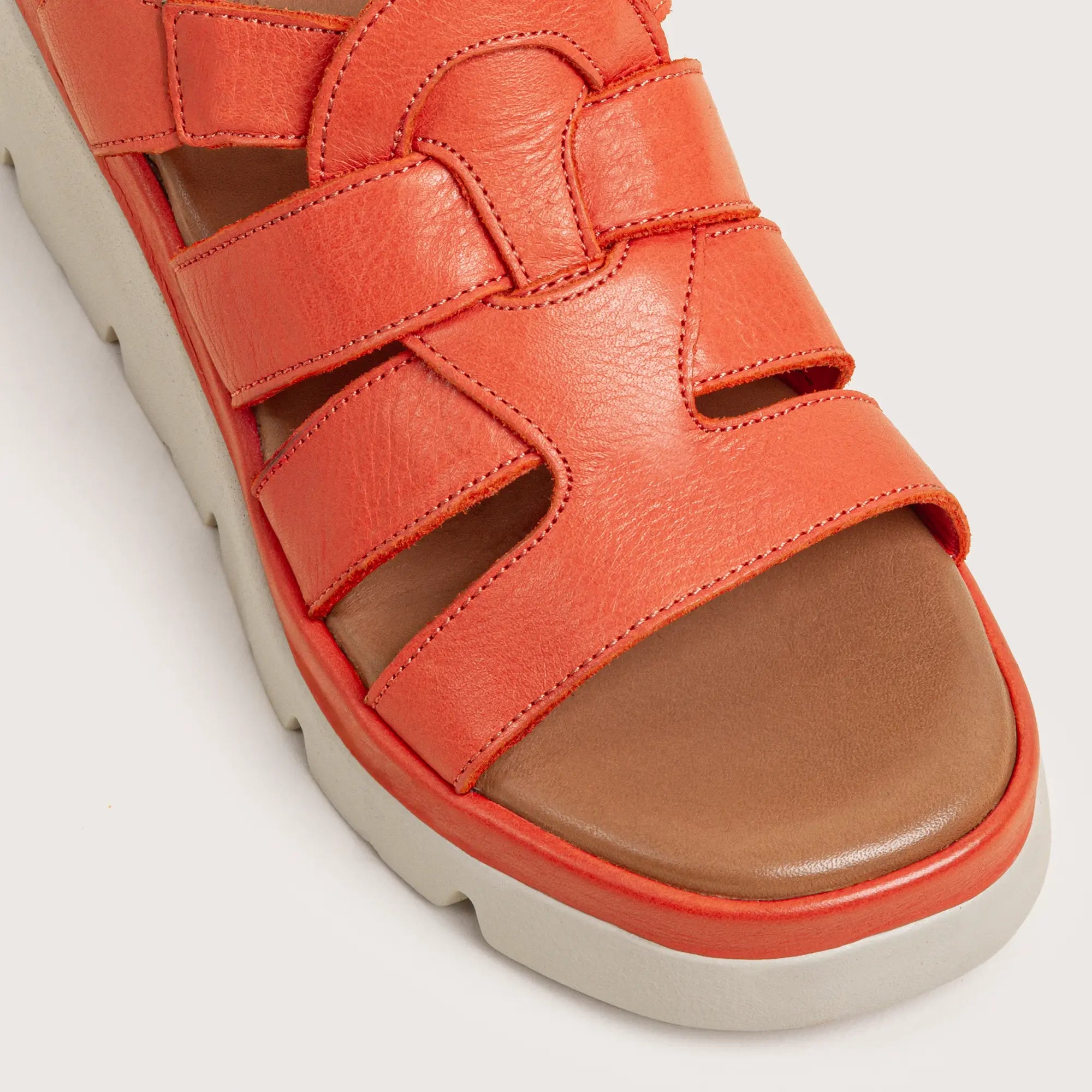 Whitman - Orange